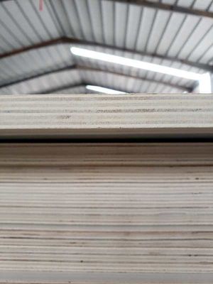 Panel interior de tablero de chapa de madera con tablero ecológico estándar E1 y libre de pintura