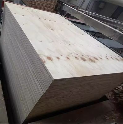 Fabricación de primera clase de todo tipo de contrachapado de madera dura Okoume con estilo de diseño moderno