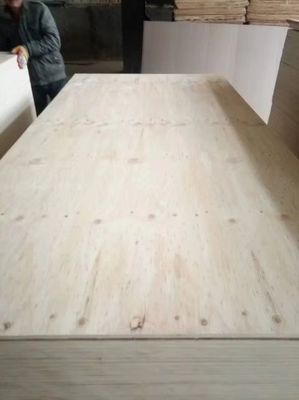 Fabricación de primera clase de todo tipo de contrachapado de madera dura Okoume con estilo de diseño moderno