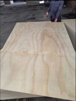 Fabricación de primera clase de todo tipo de contrachapado de madera dura Okoume con estilo de diseño moderno