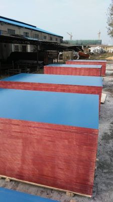 Plywood laminado de plástico de primera clase con altos estándares de producción y competitivos