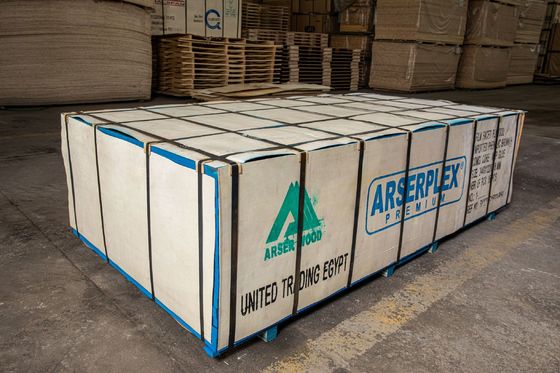 Plywood laminado de plástico de primera clase con altos estándares de producción y competitivos