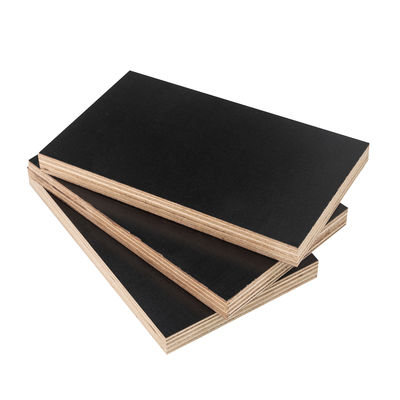 Plywood de madera de primera clase de eucalipto con producción avanzada de materia prima