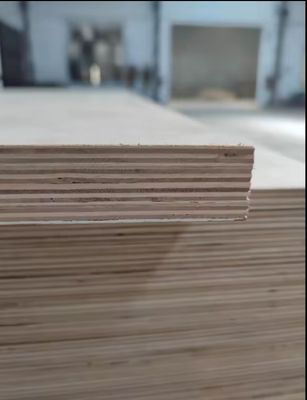 madera contrachapada laminada de melamina impermeable marina 3mm-21mm para decoración de hoteles