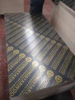 E1 Normas de emisión de formaldehído 18 mm contrachapado marino para la construcción con película