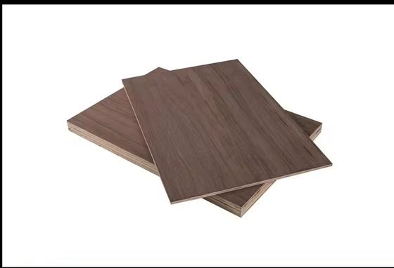Material de los paneles no metálicos 6 mm 18 mm 25 mm Venecería de madera de abedul Muebles contrachapados para trabajos en interiores