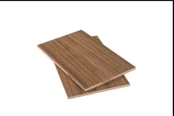 Plano de madera de abedul de madera de abedul para muebles 6mm 18mm 25mm para interiores modernos